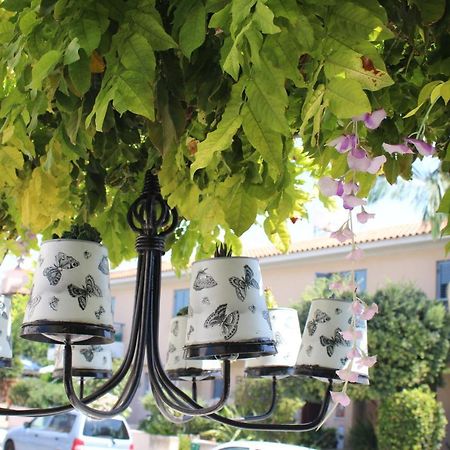 Ivoton Home Paphos Ngoại thất bức ảnh